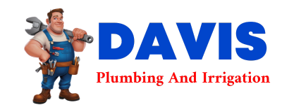 Trusted plumber in WARRIOR